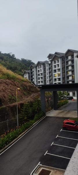 palas harison resident